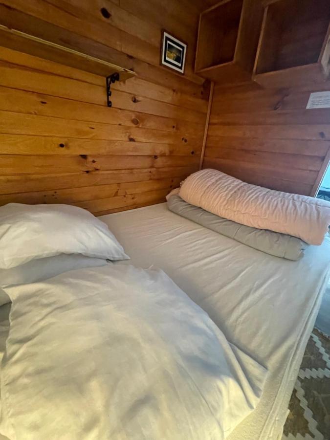 Appart 6 pers Piau Engaly L Izard La Géla pistes à 50M Aragnouet Extérieur photo